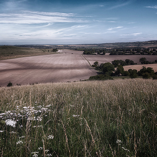 Rolling Hills