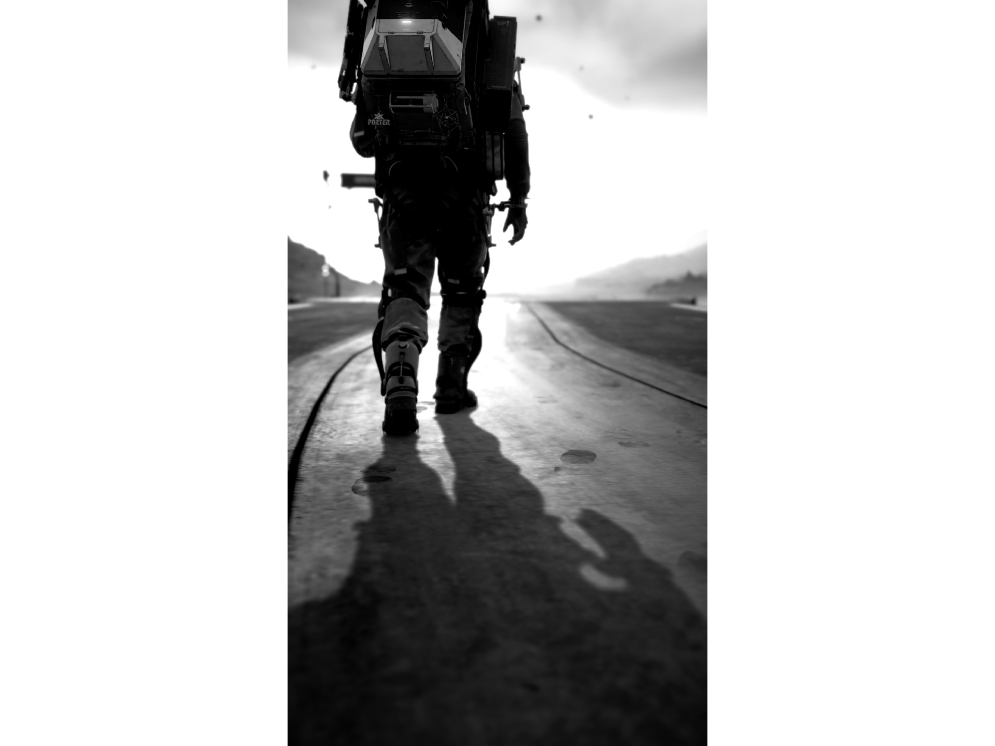 018_Licolemes-licolemes_2